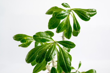 Similar image 10936121