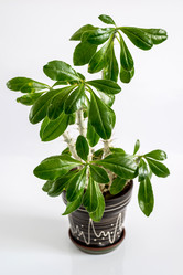 Similar image 10936122