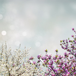 Similar image 10937033