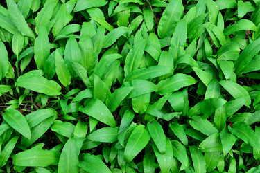 Similar image 10934137