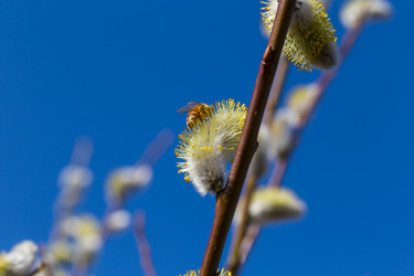 Similar image 10938636