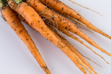 Similar image 10938648