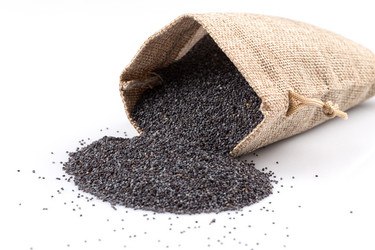 Similar image 10938504