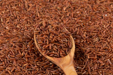 Similar image 10938545