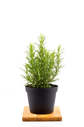 Similar image 10938558