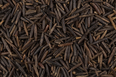 Similar image 10938475