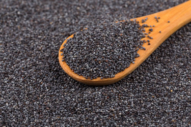 Similar image 10938600