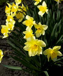 Similar image 10935553