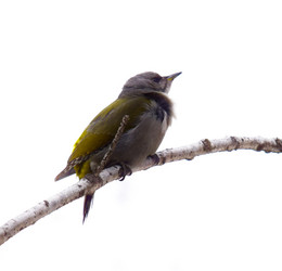 Similar image 10934123