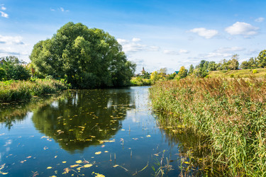 Similar image 10935880