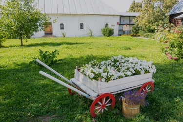 Similar image 10935900