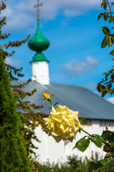 Similar image 10935906