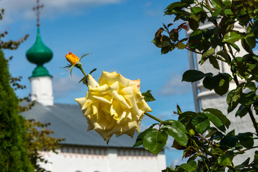 Similar image 10935907