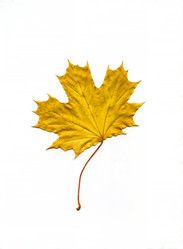 Similar image 10935910