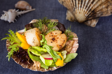 Similar image 10951510