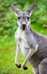 Similar image 10934617