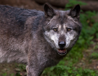 Similar image 10934631