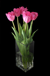 Similar image 10937165