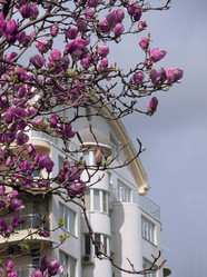 Similar image 10935472