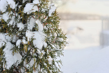 Similar image 10938052