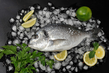 Similar image 10937140