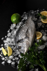 Similar image 10937147