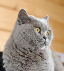 Similar image 10938056