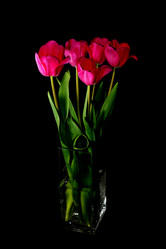 Similar image 10937186