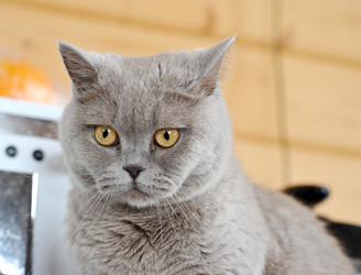 Similar image 10938058