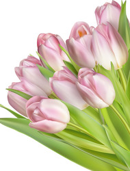 Similar image 10950066