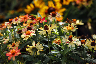 Similar image 10937783