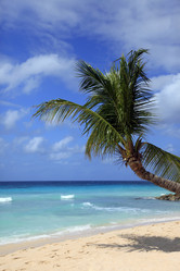 Similar image 10937784