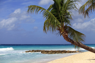 Similar image 10937785