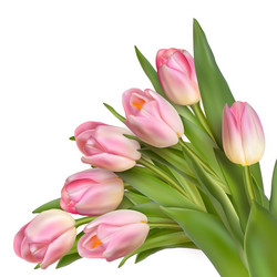 Similar image 10950168