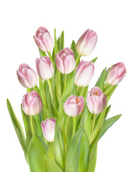 Similar image 10950169