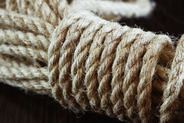 Similar image 10935583