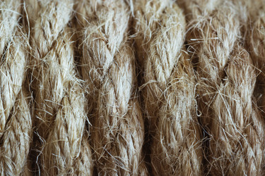 Similar image 10935584