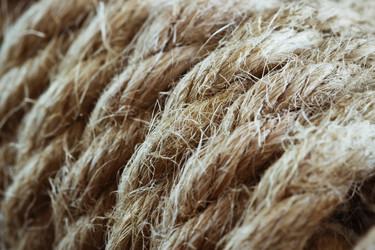 Similar image 10935586