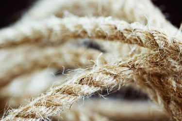 Similar image 10935587