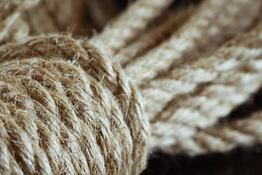 Similar image 10935588