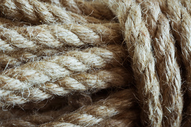 Similar image 10935589