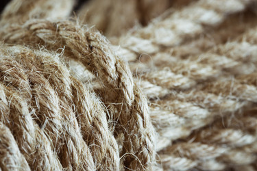 Similar image 10935590