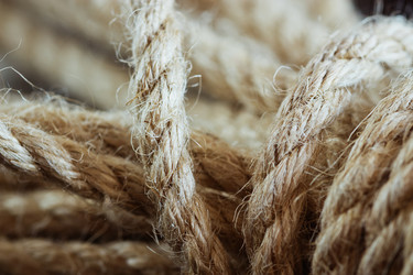 Similar image 10935591