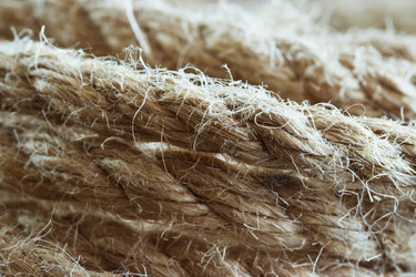 Similar image 10935592