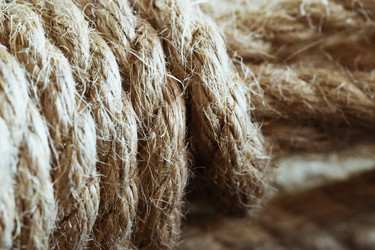 Similar image 10935593