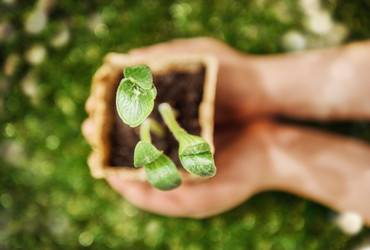 Similar image 10935039