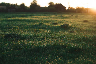 Similar image 10935925