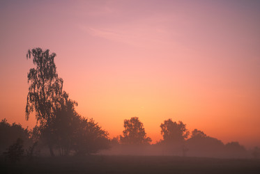 Similar image 10935926