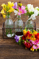 Similar image 10937050