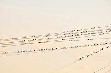 Similar image 10936047